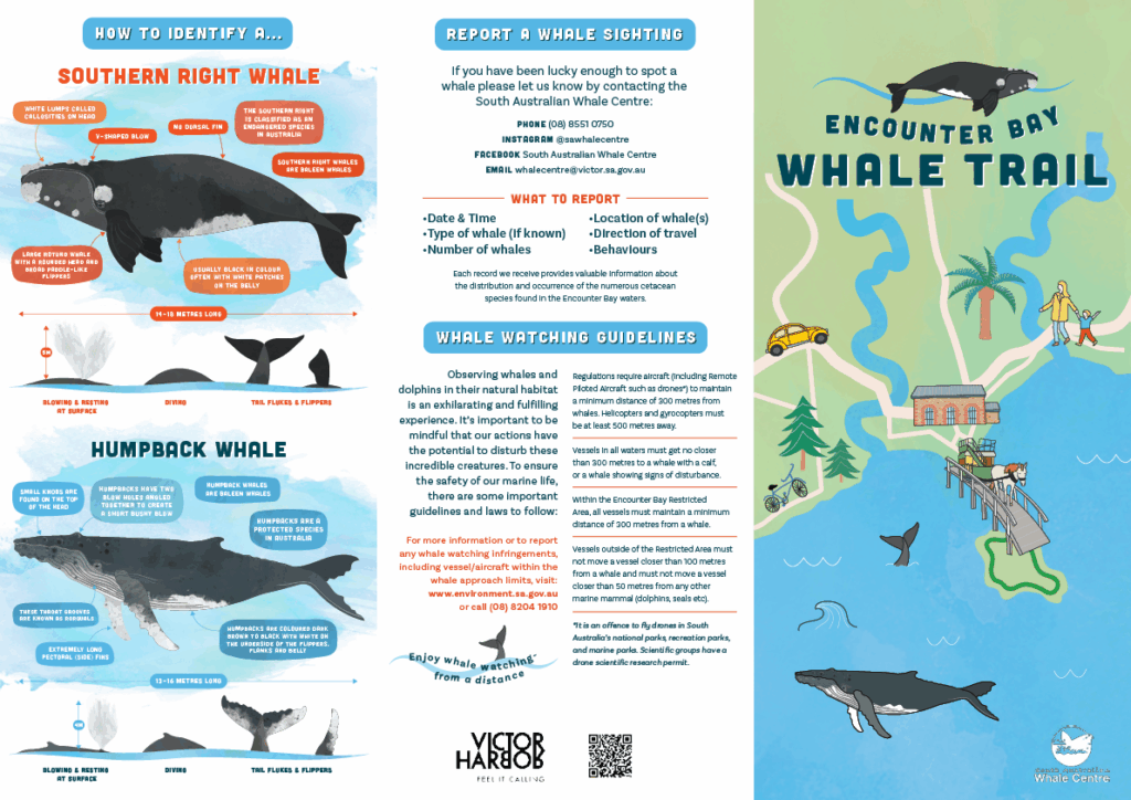 Whale Trail brochure panels: how to identify a Southern Right Whale and a Humpback Whale, how to report a whale sighting, whale watching guidelines and the Encounter Bay Whale Trail