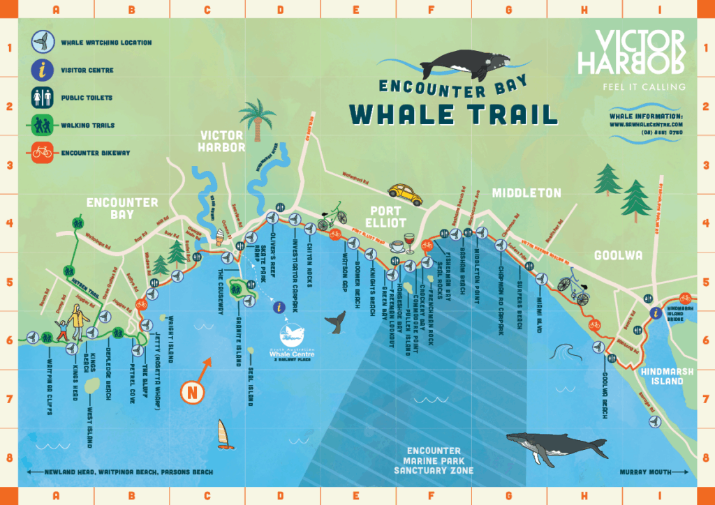 Encounter Bay Whale Trail illustrated map of the coastline from Encounter Bay to Goolwa, marking whale watching locations, visitor centres, walking trails and the Encounter Bikeway